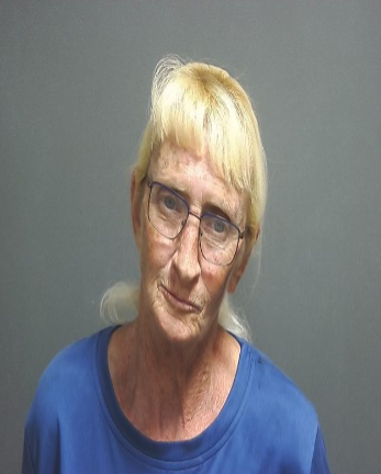 Woman Arrested on Battery and Refusal to Identify Charges Headlines Recent Bookings