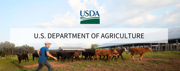 USDA invests $106M to keep working forests working