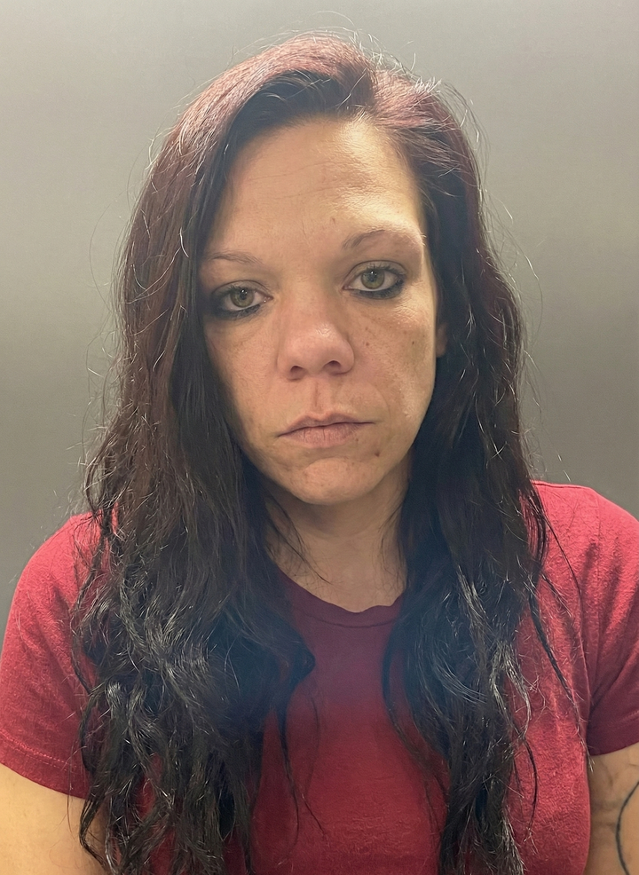 Gosport Woman Facing Multiple Theft and Vehicle Entry Charges in Owen County Arrest