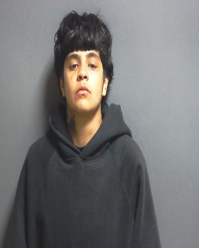 Bloomington Man Facing Identity Deception and Felony Theft Charges Following Greene County Arrest