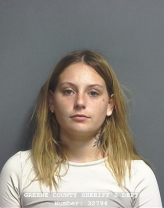 Pointing a Firearm and Felony Recklessness Charges Top Recent Local Arrest Log