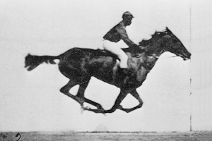 animated gif of horse galloping