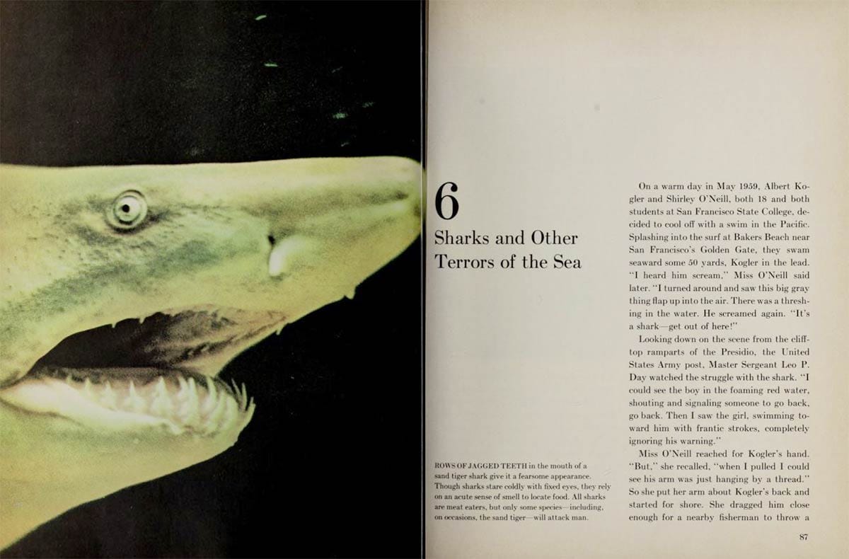 Time-Life Books chapter on sharks