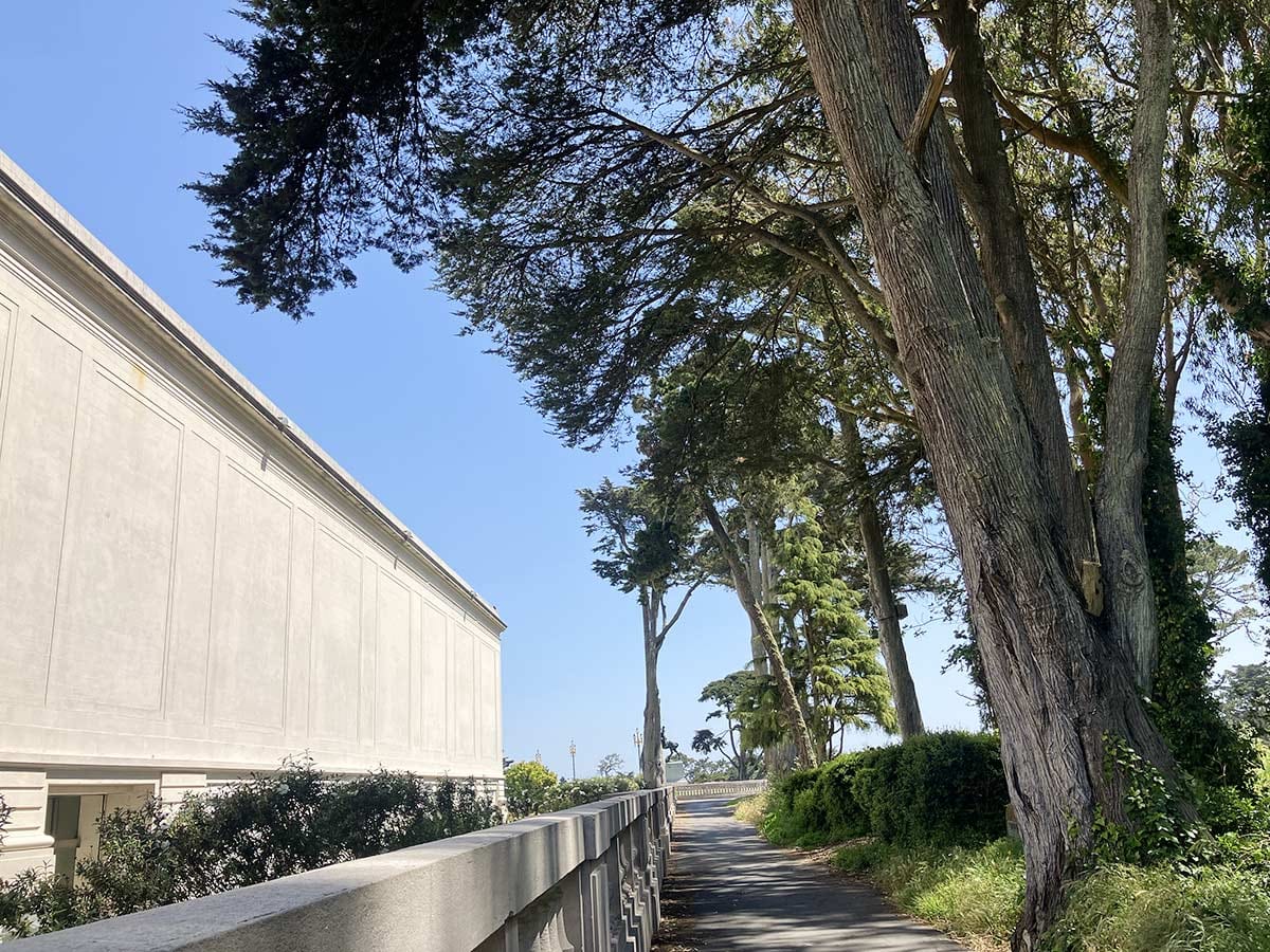 Lincoln Park honor grove