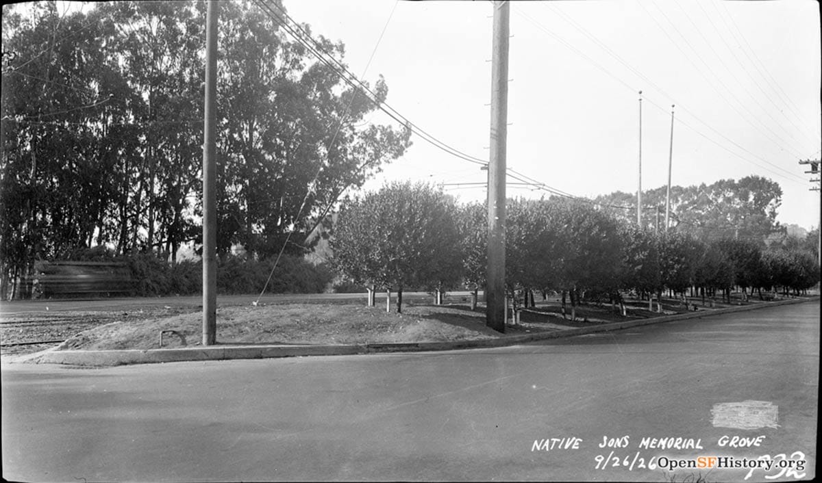Grove of Memory on Junipero Serra Boulevard