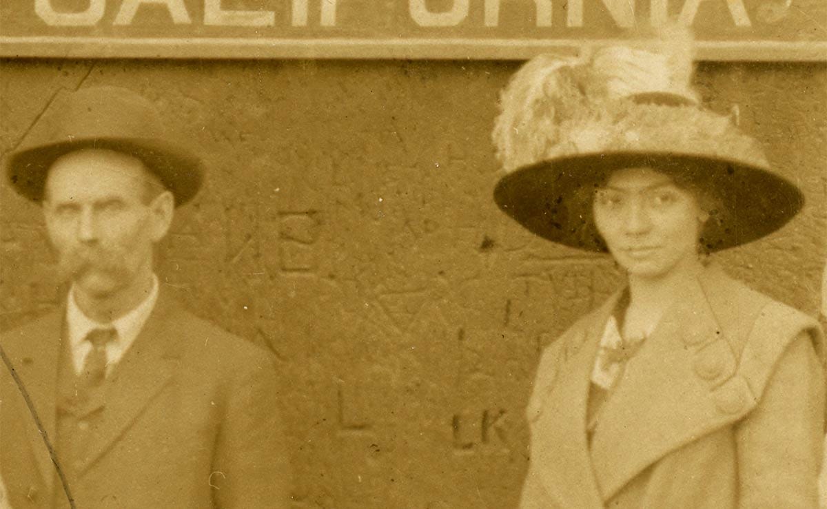 Close-up of redwood round