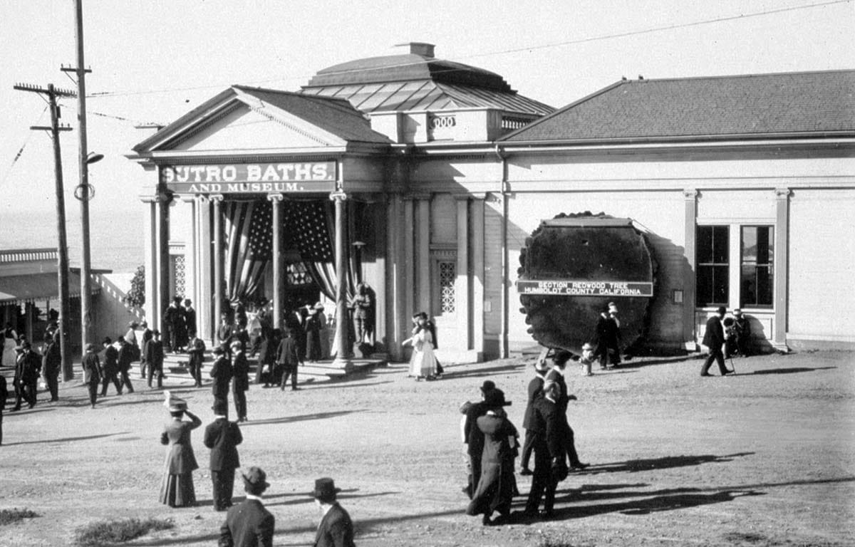 Sutro Baths entrance with redwood tree