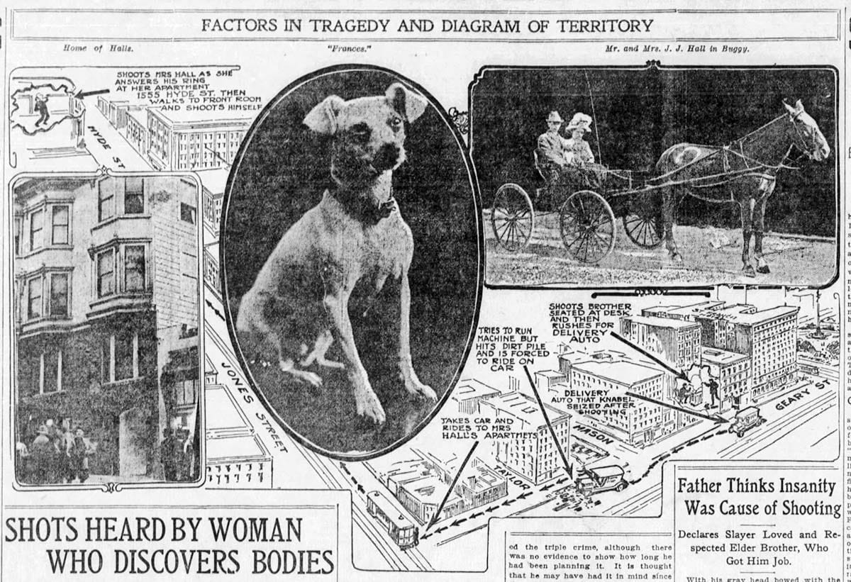 San Francisco Examiner clipping