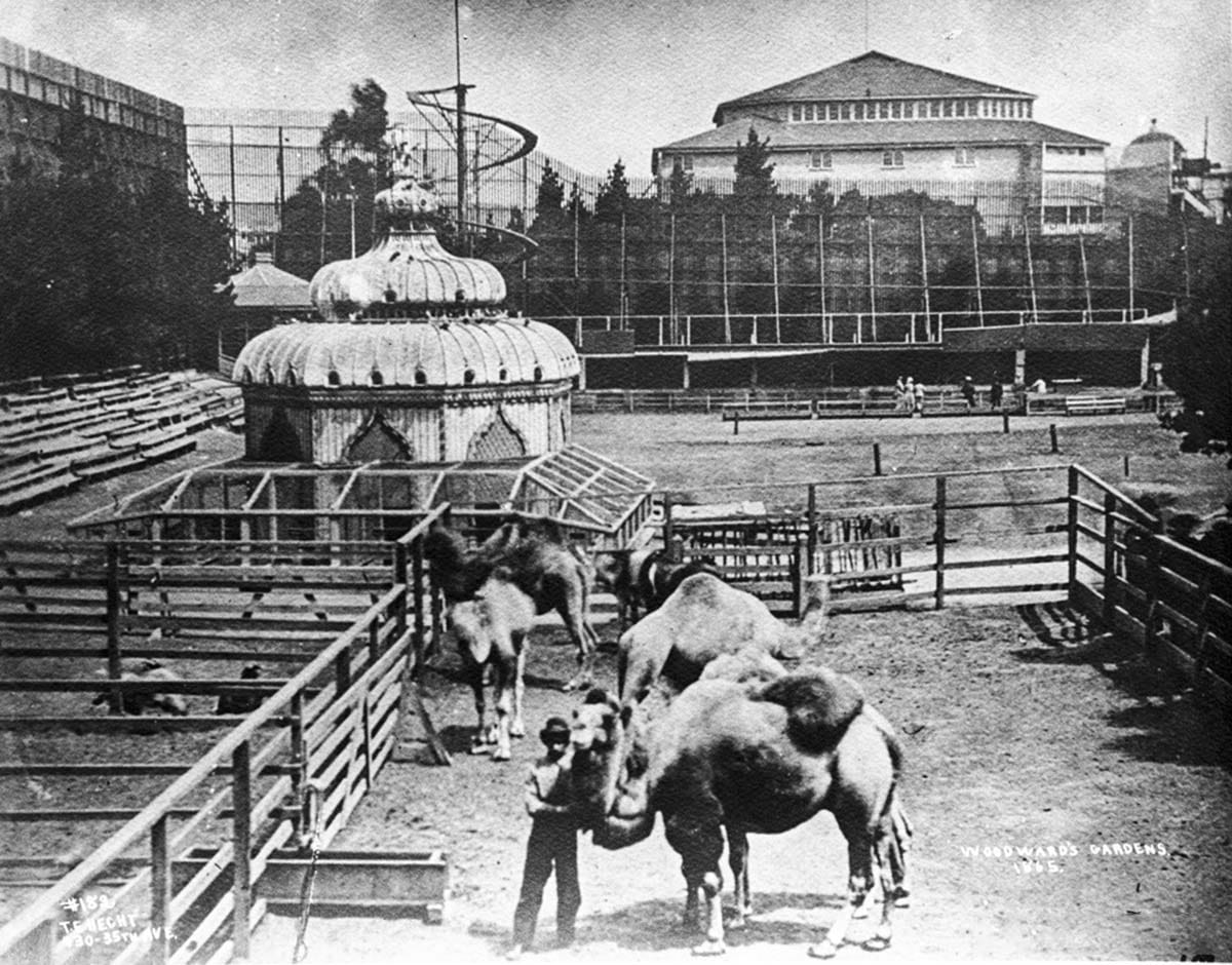 Woodward's Gardens