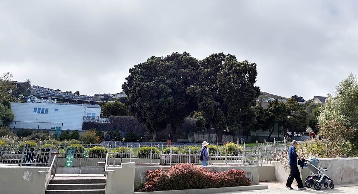 Noe Valley Park