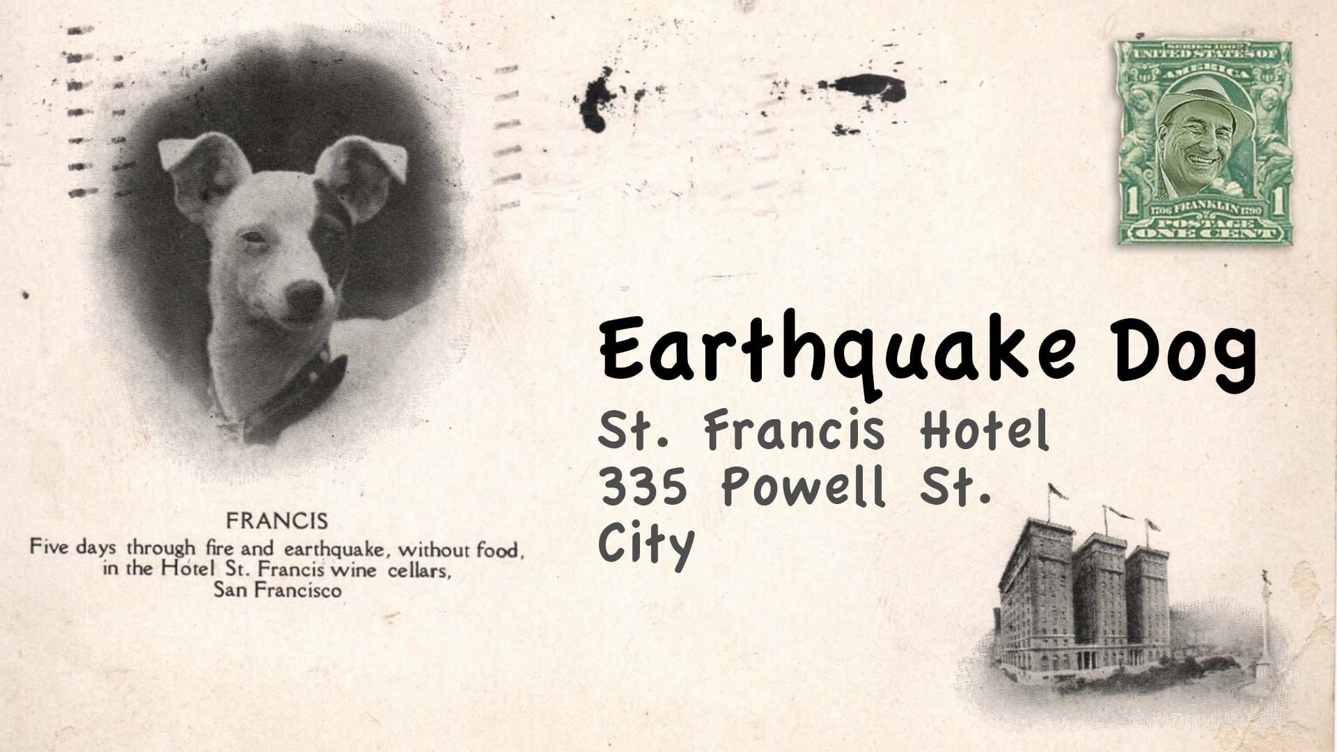 Earthquake Dog