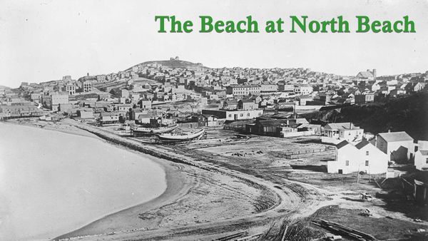 The Beach at North Beach