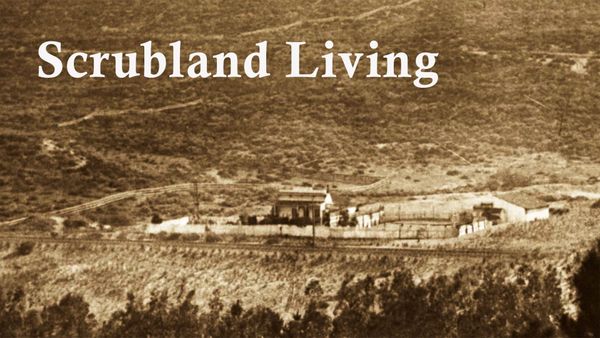 Scrubland Living
