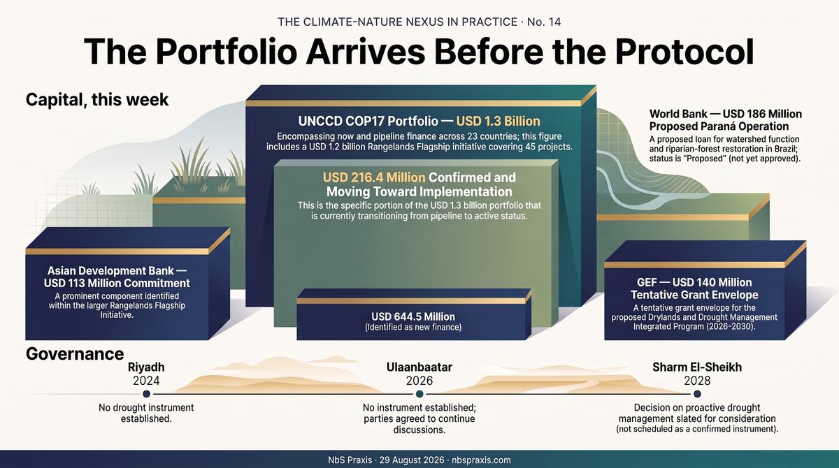 No. 14 — The Portfolio Arrives Before the Protocol