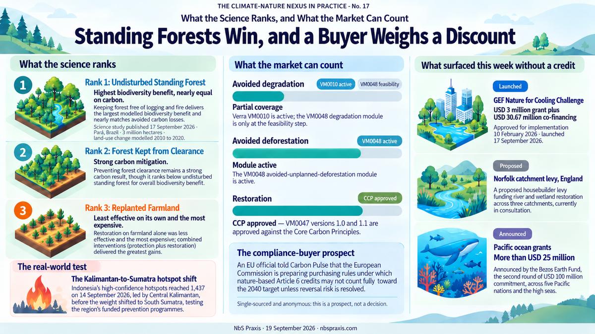 No. 17 — Standing Forests Win, and a Buyer Weighs a Discount
