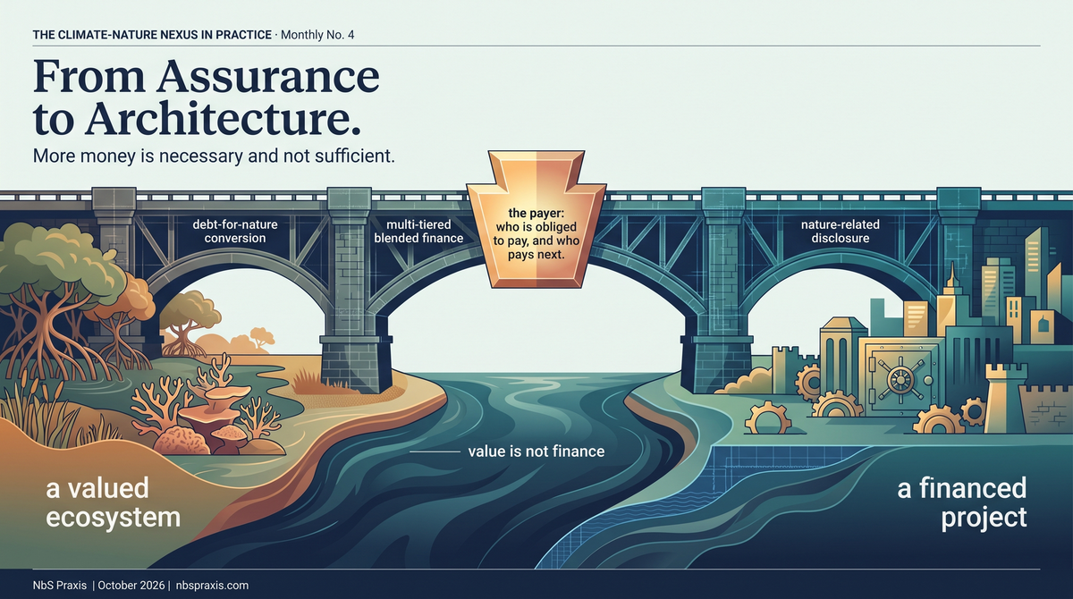 From Assurance to Architecture: The Financial Instruments That Close the Nexus