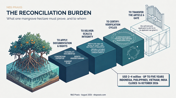 Four stages a mangrove hectare must clear under the Blue Action Fund call: apply, deliver, certify, transfer. Article 6 authorization is drawn as a gate no applicant can open.