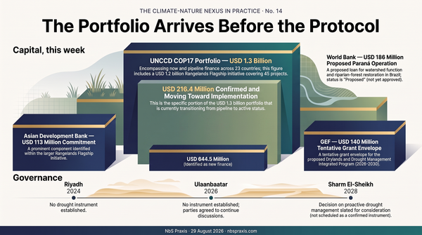 No. 14 — The Portfolio Arrives Before the Protocol