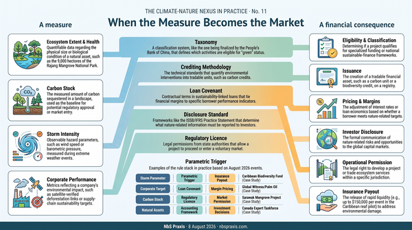 No. 11 — When the Measure Becomes the Market