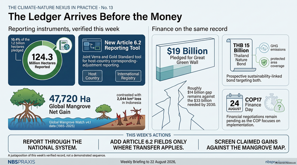No. 13 — The Ledger Arrives Before the Money