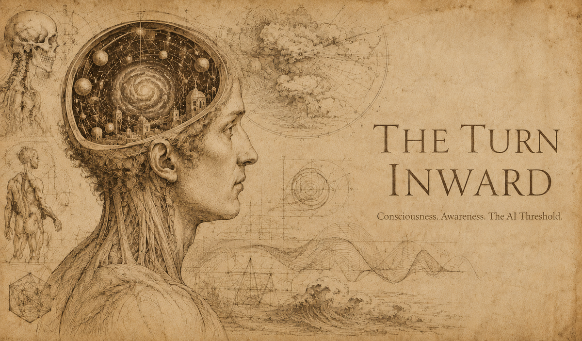 The Turn Inward | About the Project