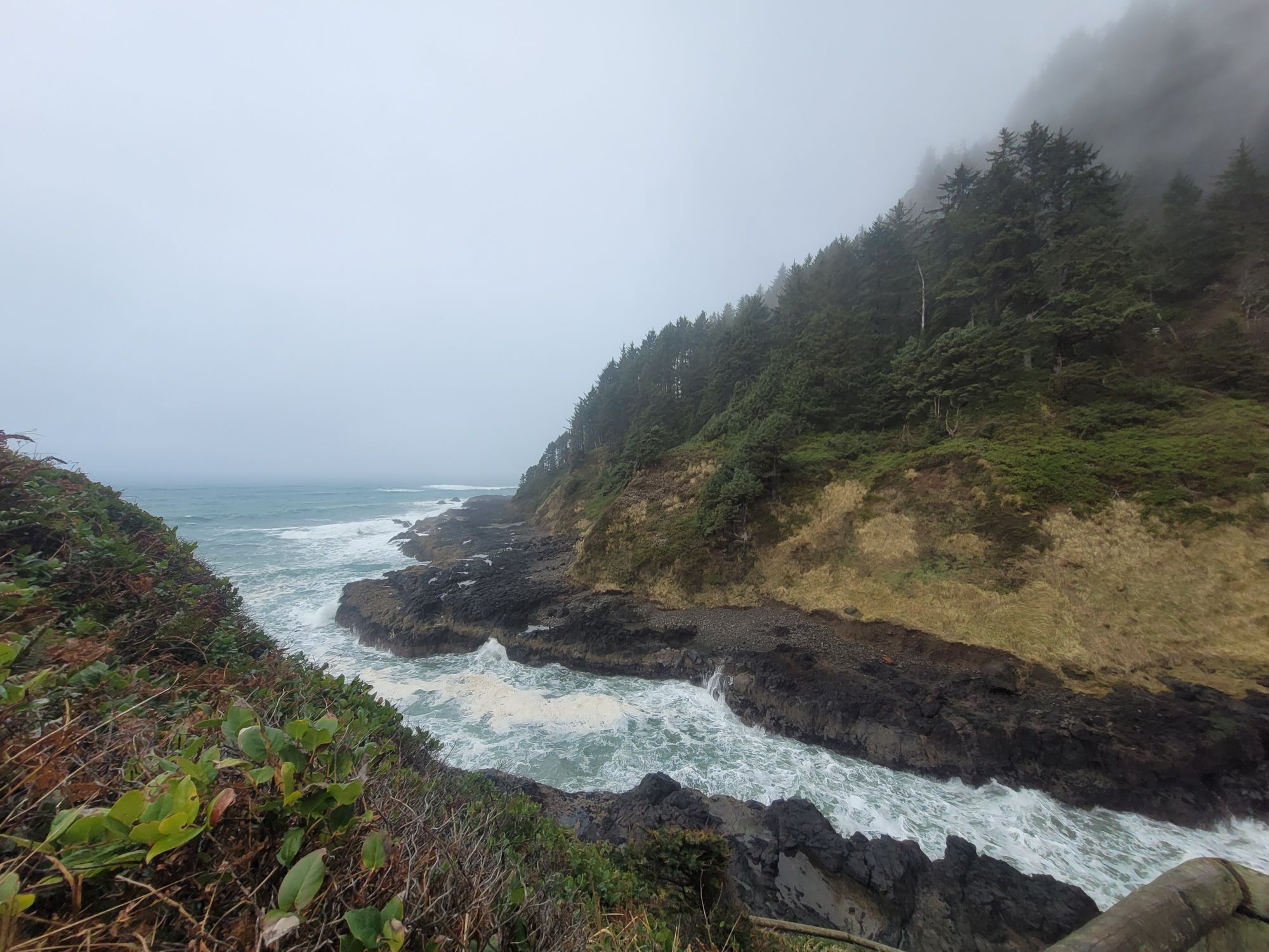 Cove with trees in the background, Oregon