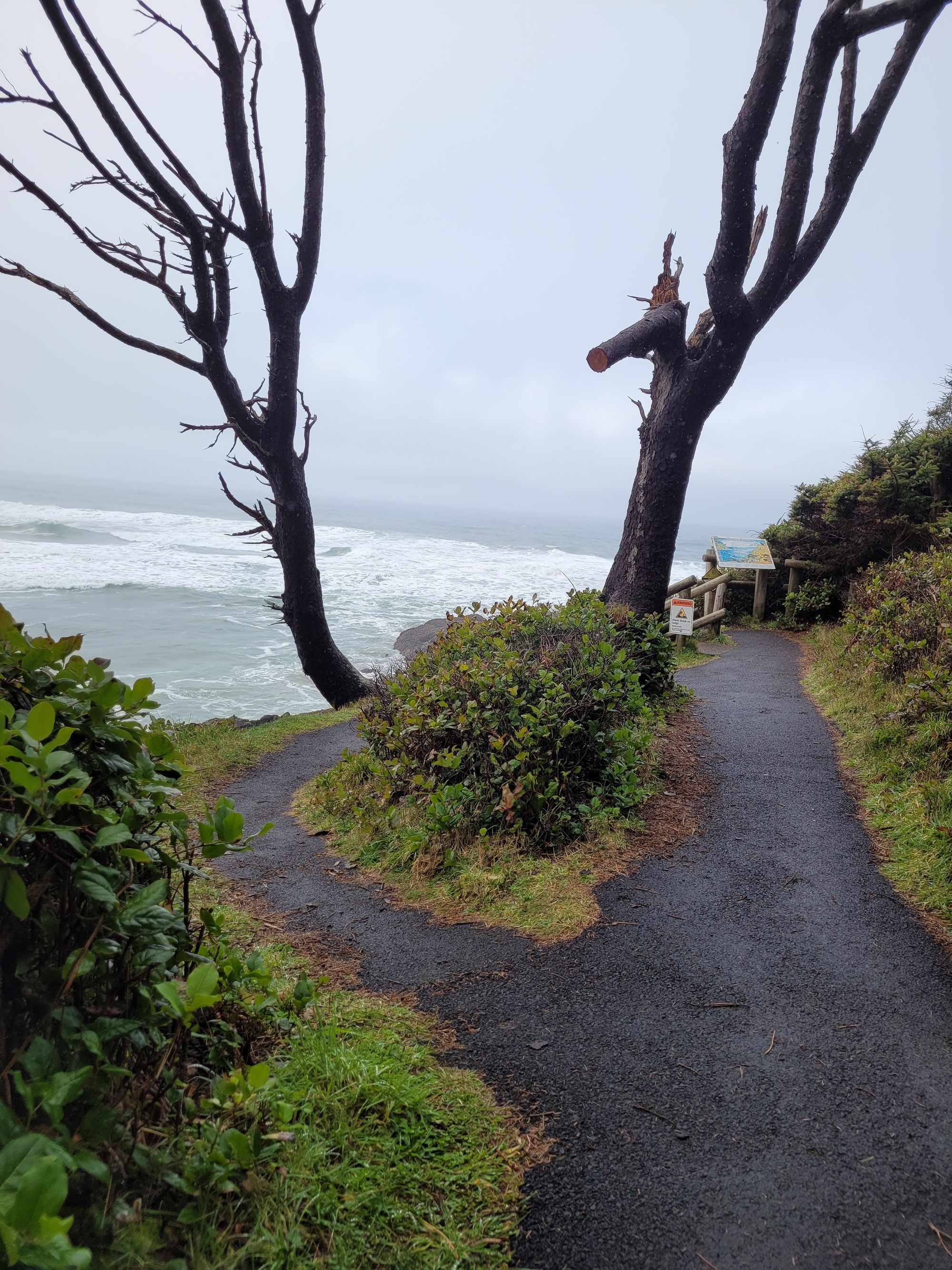 Partial accessible trail leading down to the ocean in Oregon
