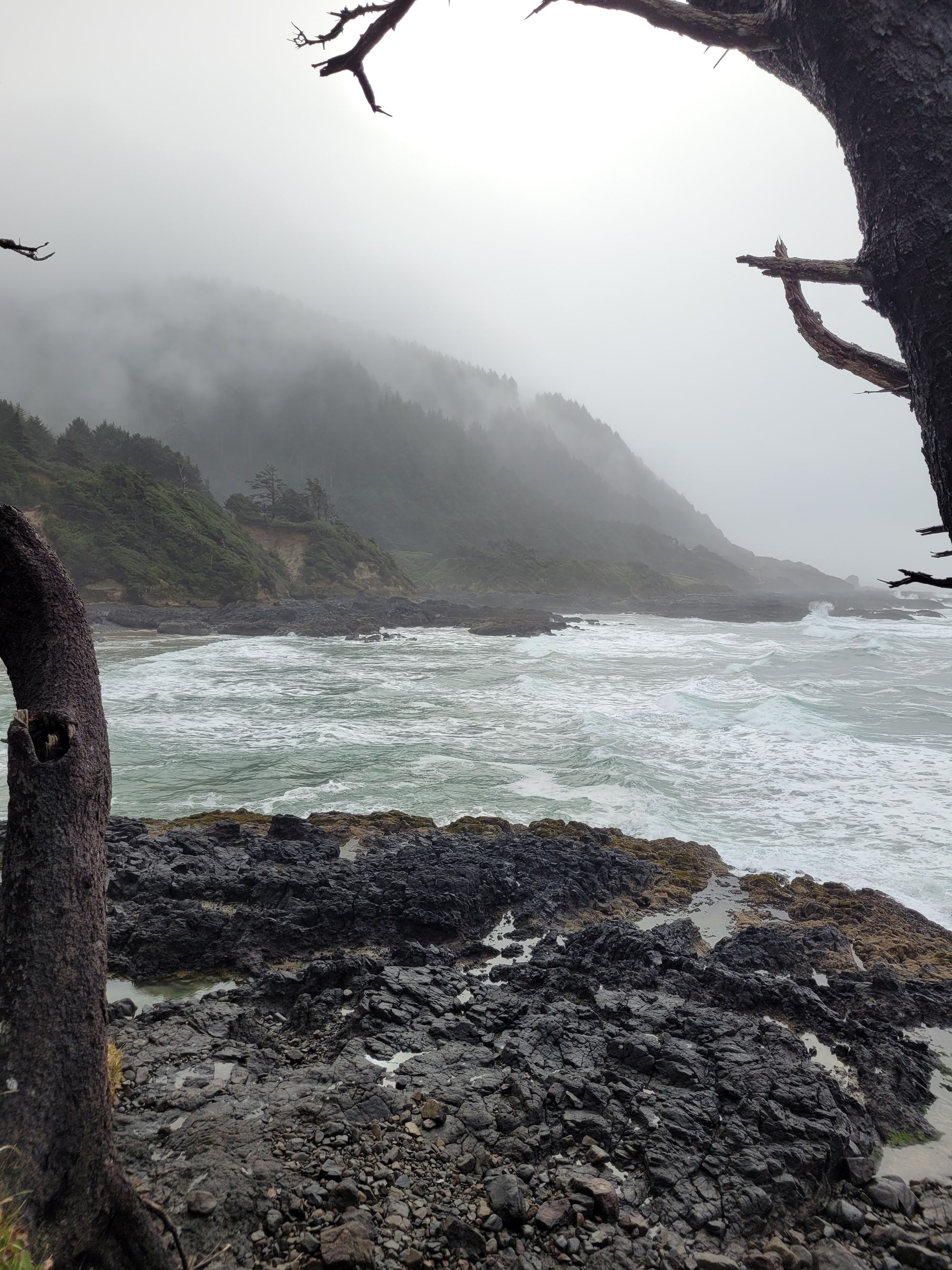 Cloudy day on the Oregon Coast