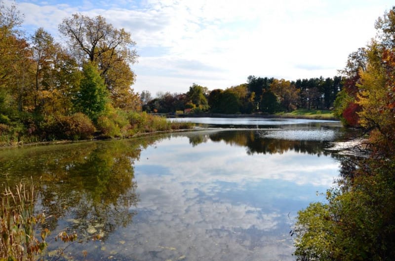 The Dutchess Rail Trail has accessible pathways and trails for wheelchair users