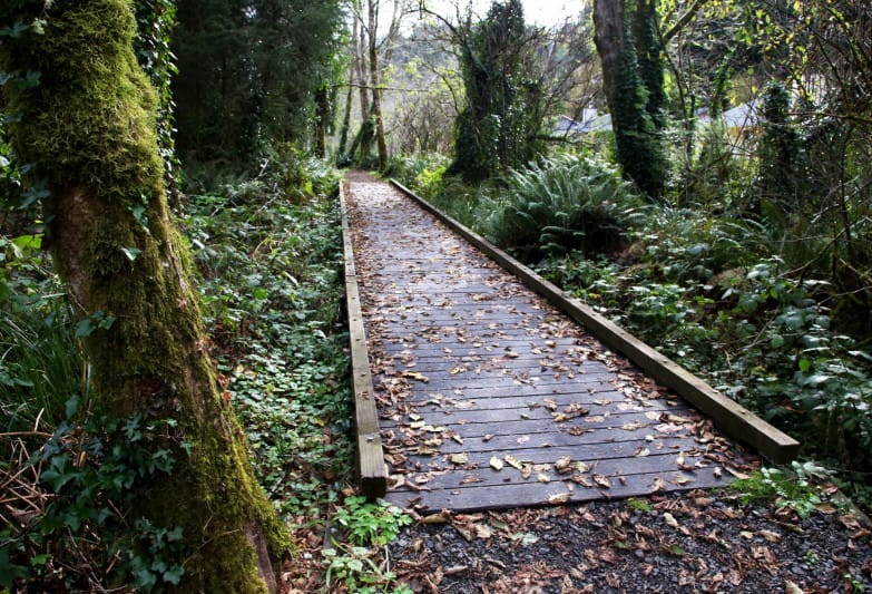 Accessible boardwalk - Ocean to Bay Trail in Newport, Oregon