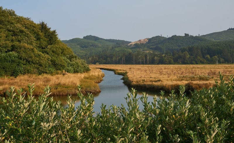 Alder Island Nature Trailhead in Lincoln City, Oregon with accessible trails