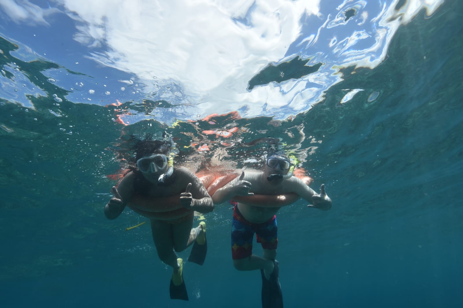 Adapted surfing tour and lesson in Maui