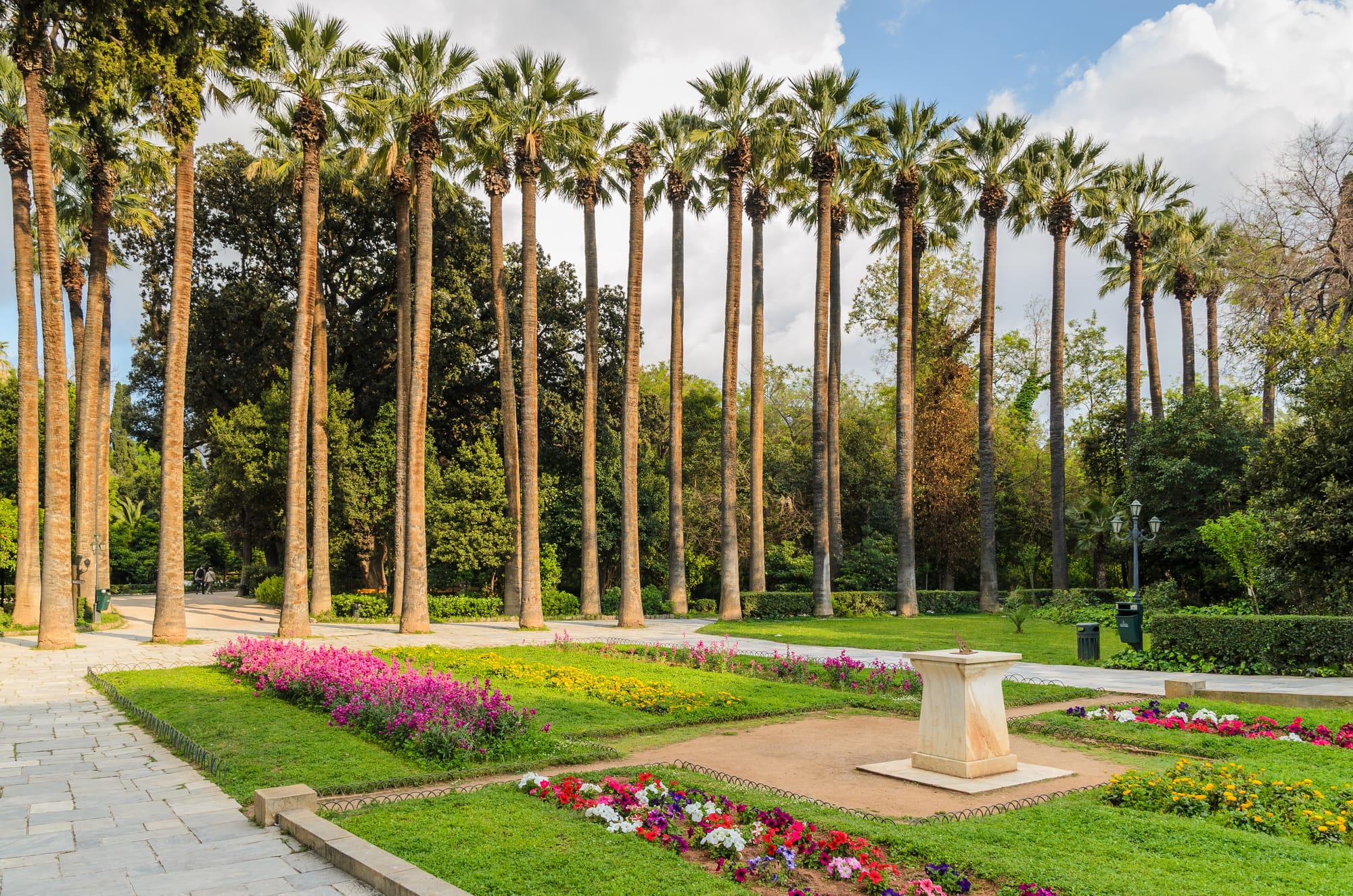 Palm trees at National Garden of Athens