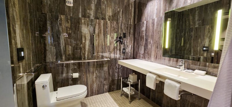 Roll-in shower and toilet with grab bars