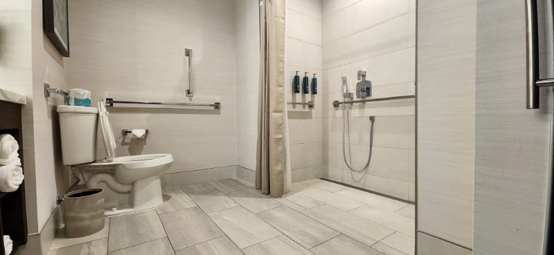 Roll-in shower and toilet with grab bars