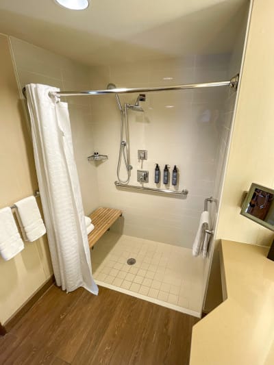Roll-in shower with grab bars and a seat