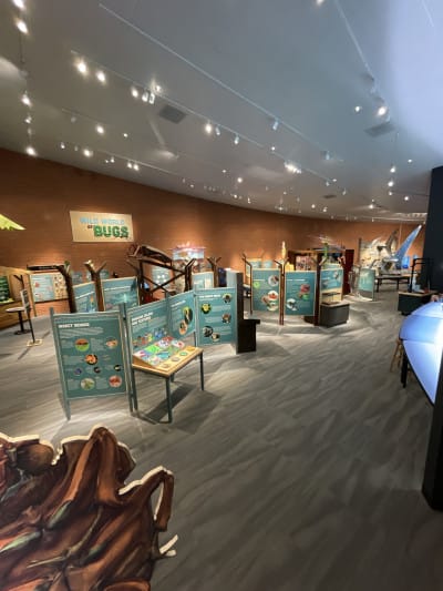 Flandrau Science Center and Planetarium in Tucson