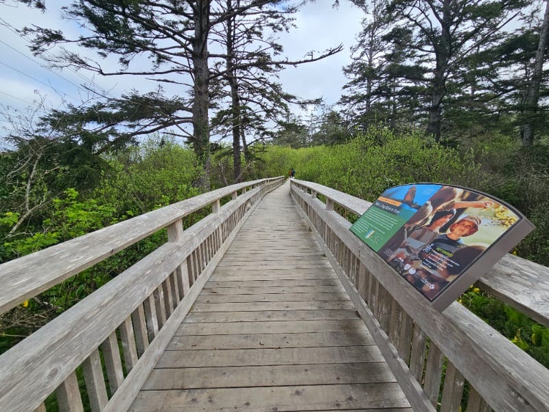 Wheelchair-accessible trails at the Cedar Wetlands Preserve in Rockaway Beach, Oregon