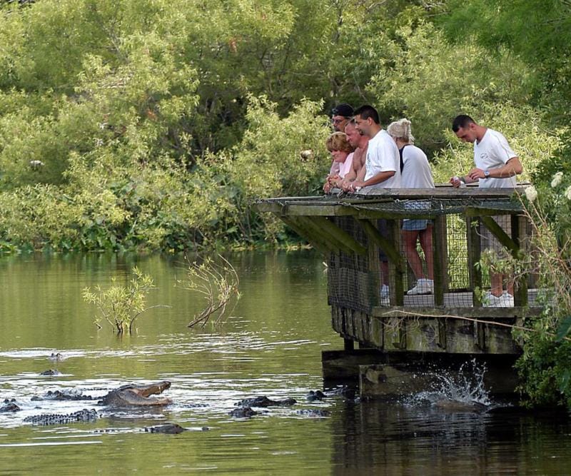 Gatorland in Orlando is accessible
