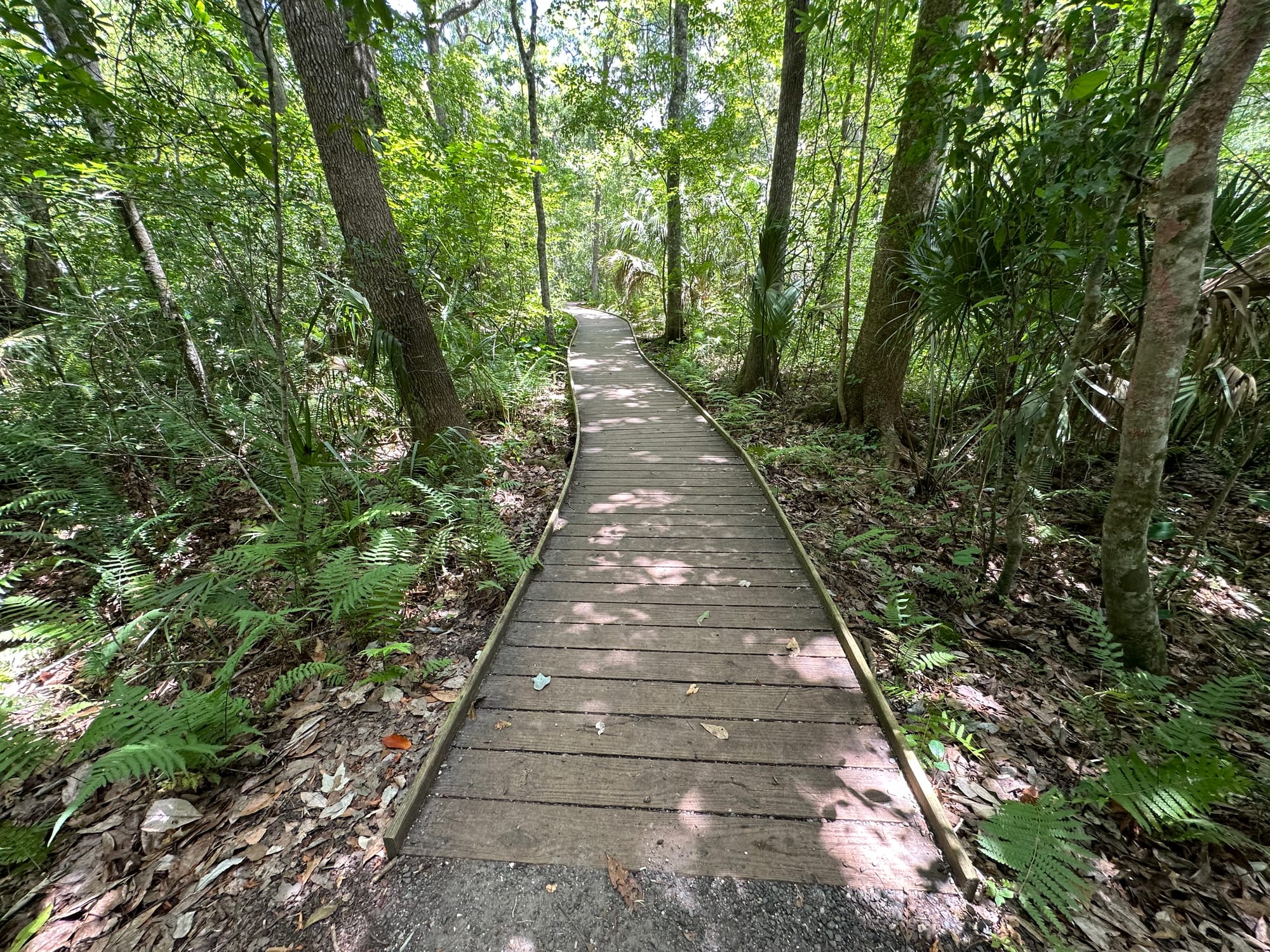Accessible pathways at Lake Loop Trail