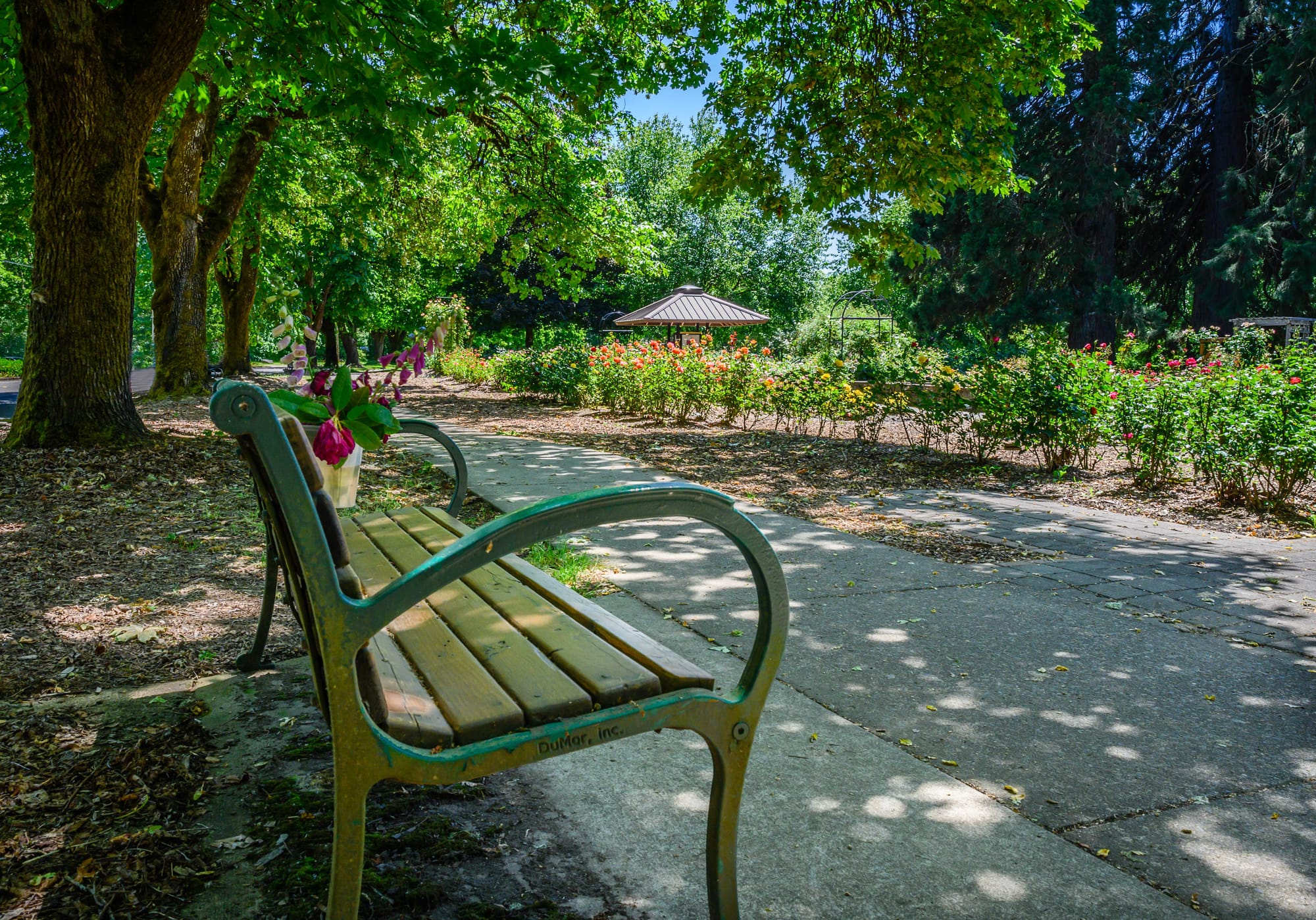 Bench and paved walking trail at Avery Park & Natural Area