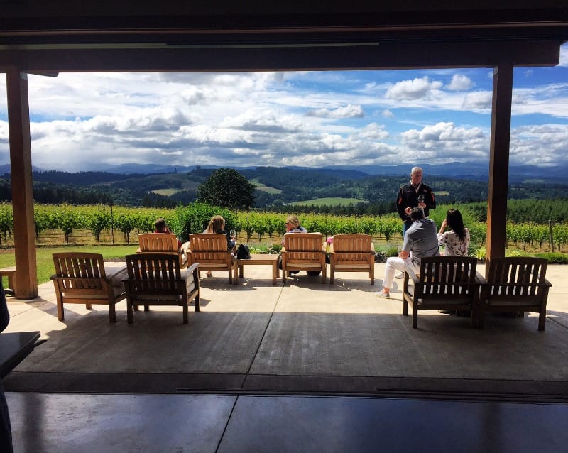 Beautiful view at Compris Vineyard