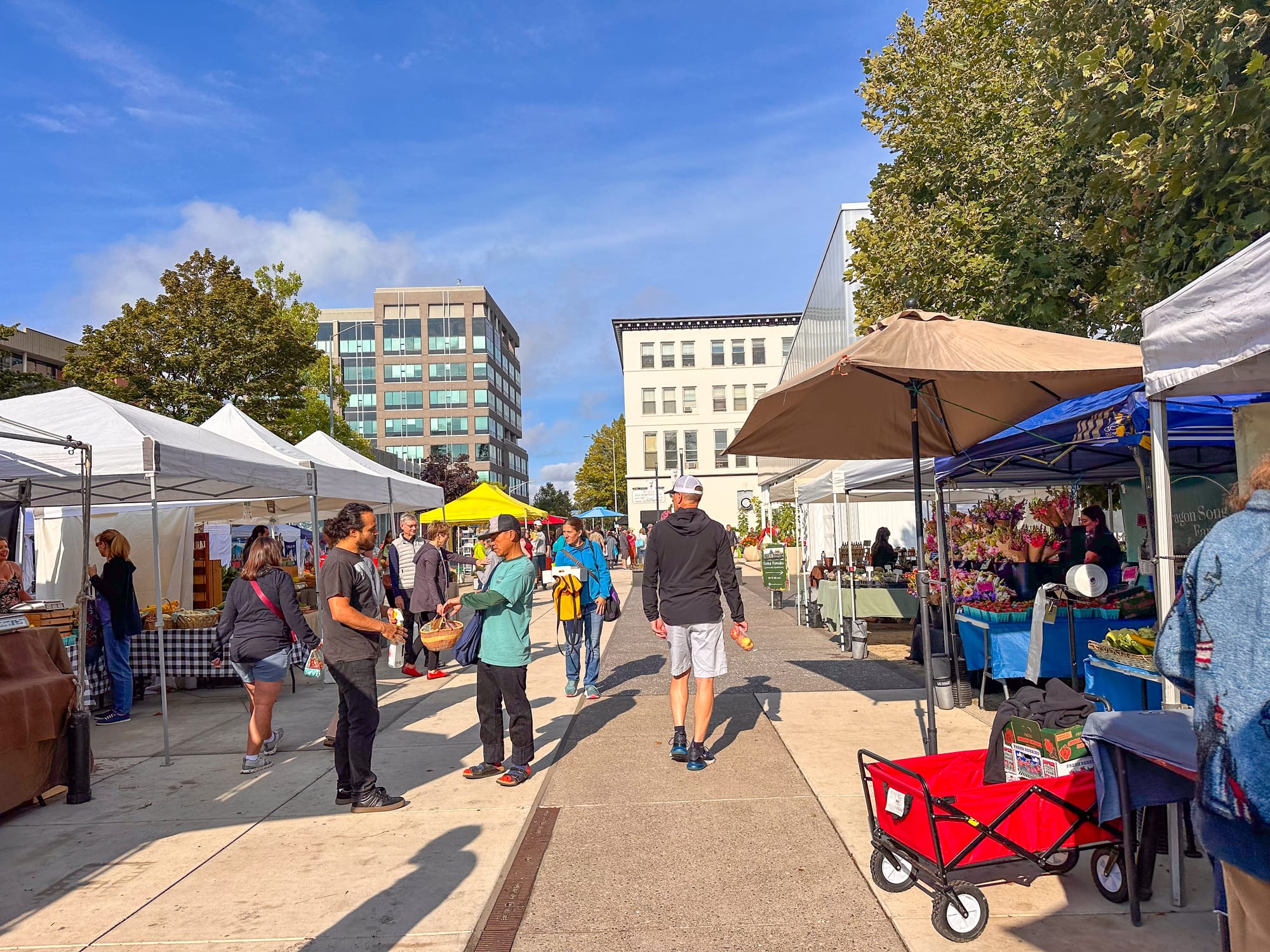 Farmers market in Eugene during the summer
