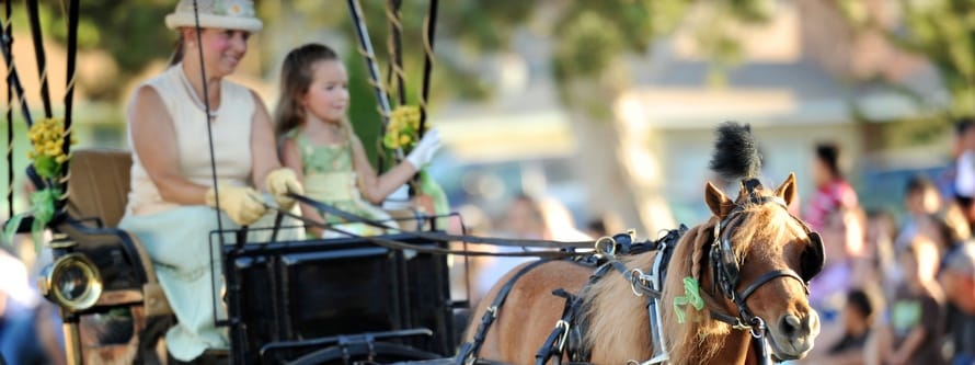Annual fair in Umatilla County, Oregon