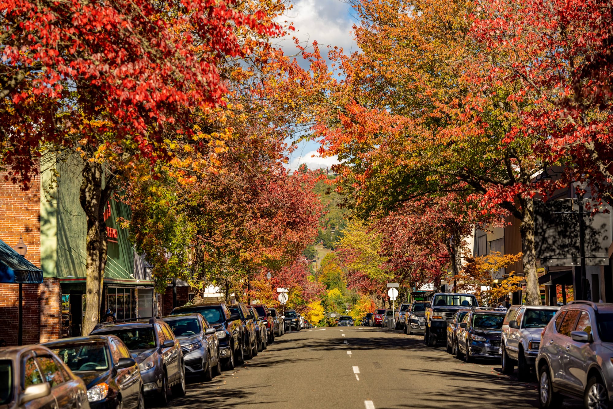 Fall trees and street in downtown Roseburg, Oregon