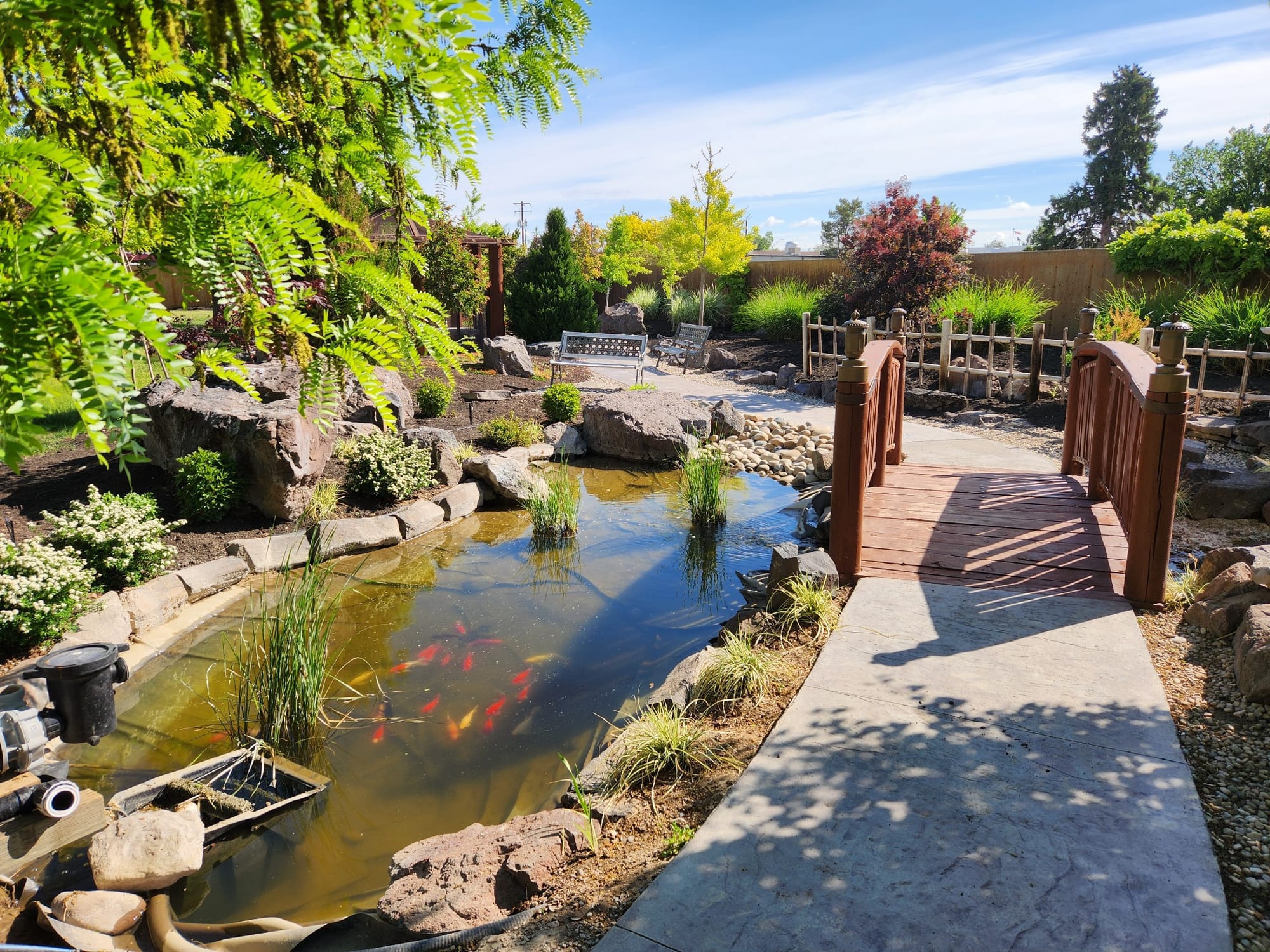 Japanese garden with bridge at Four Rivers Cultural Center & Museum