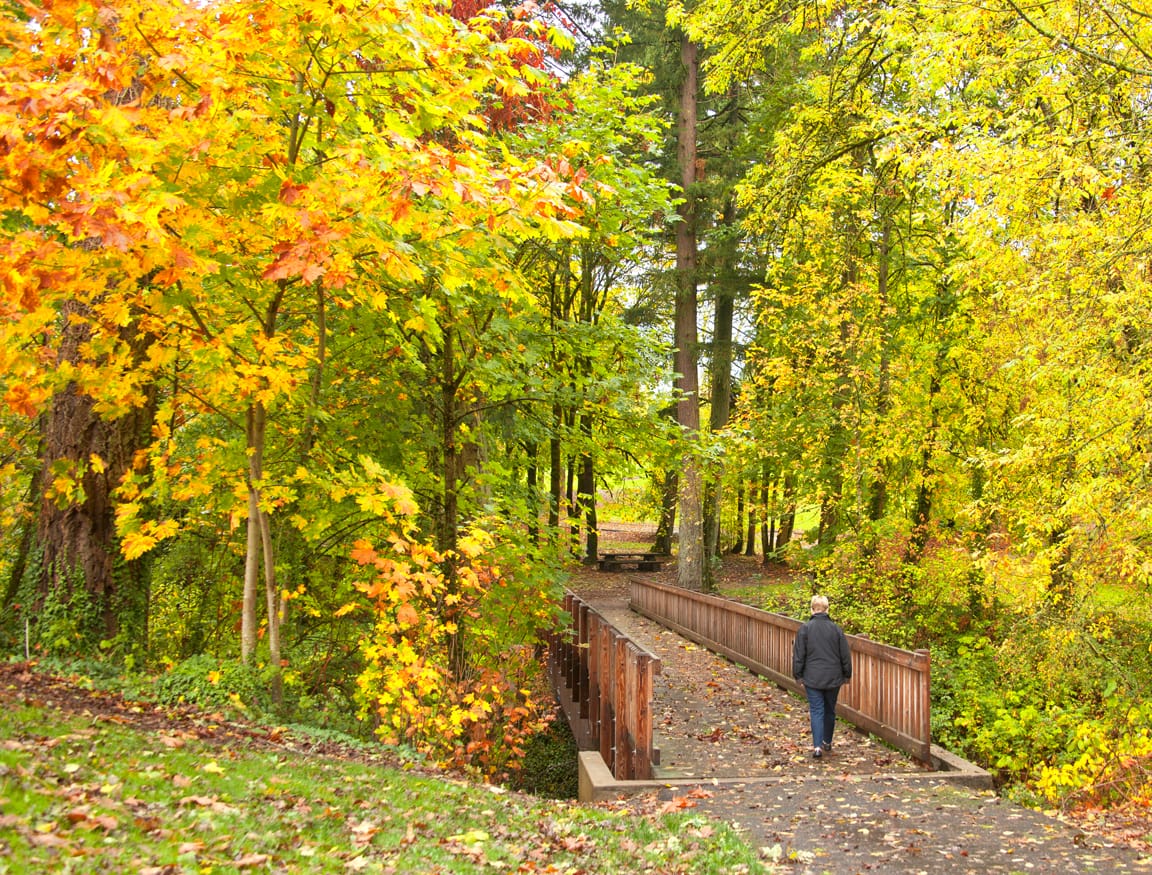 man walking across a bridge at Joe Dancer Park McMinnville