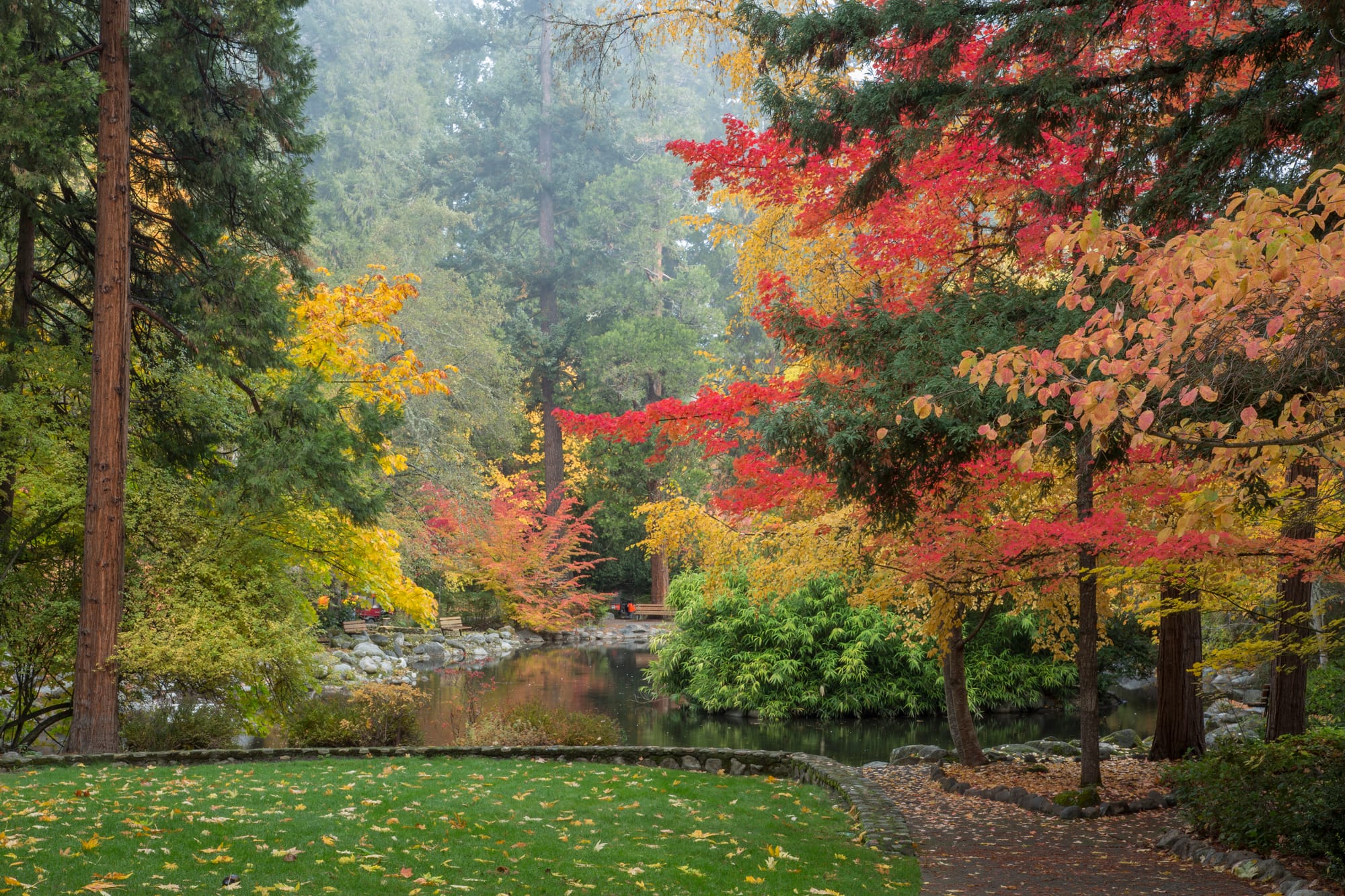 Pond and fall leaves at Lithia Park in Ashland, Oregon