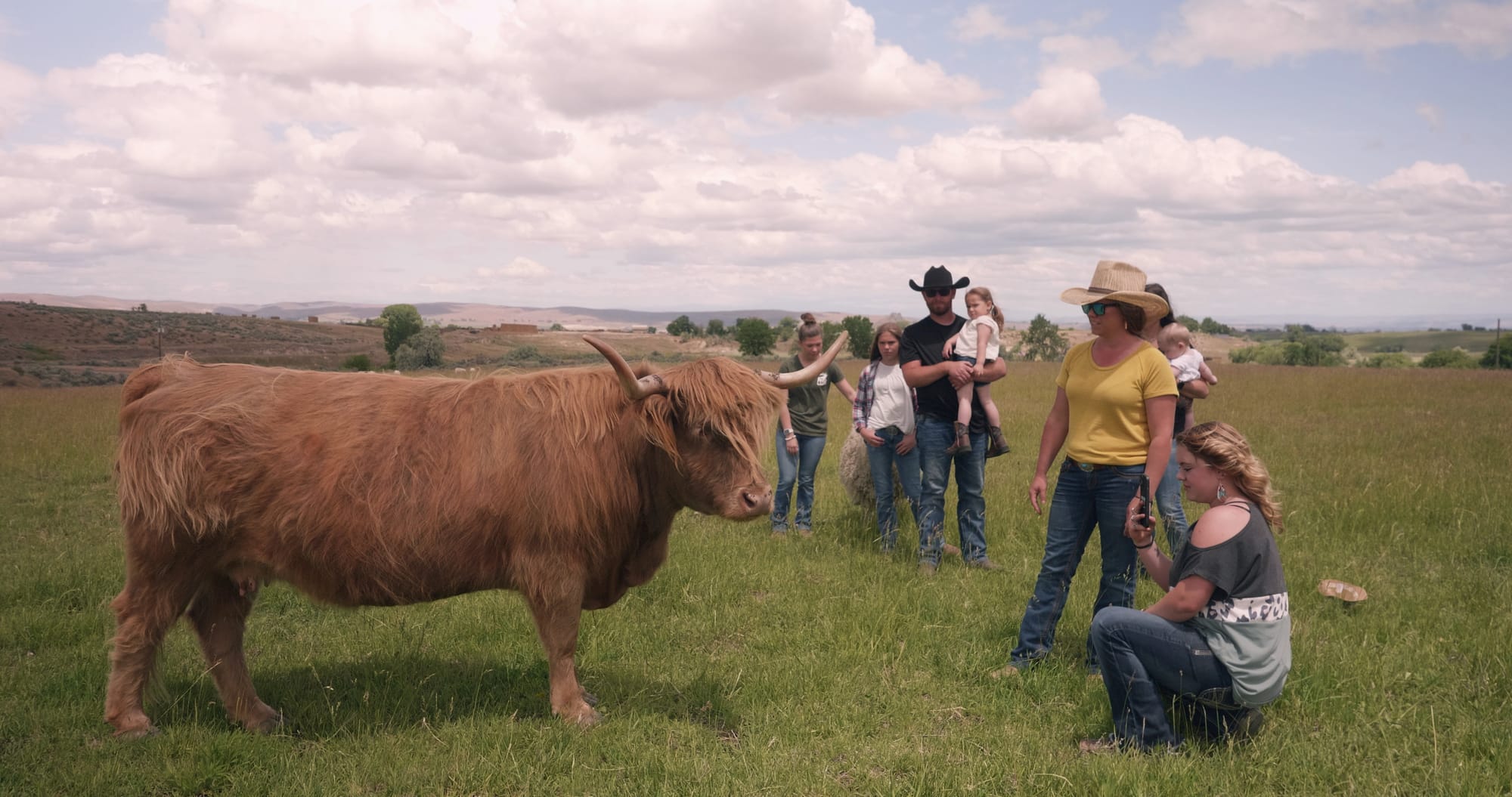 Bull in Ontario, Oregon