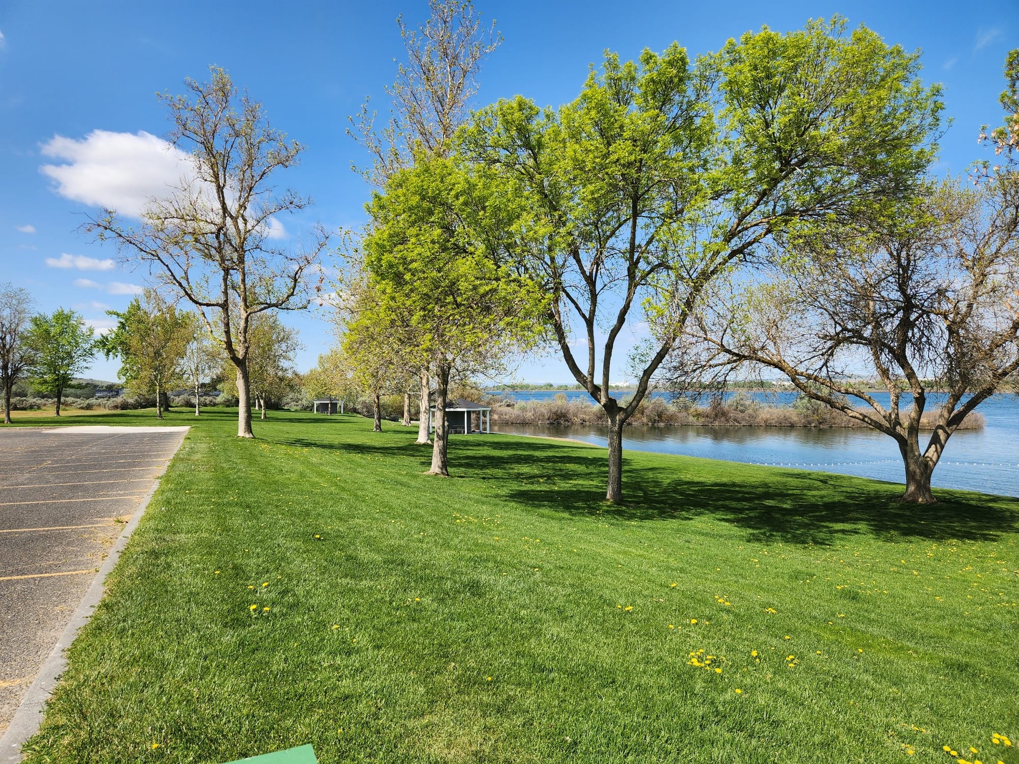 Green grass, trees and water at Umatilla Marina